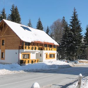 Arnica Montana